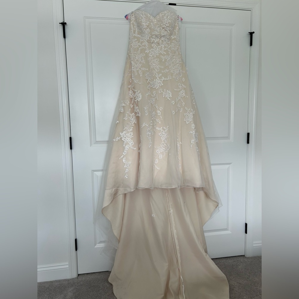 David's Bridal Cream and White Wedding Dress
